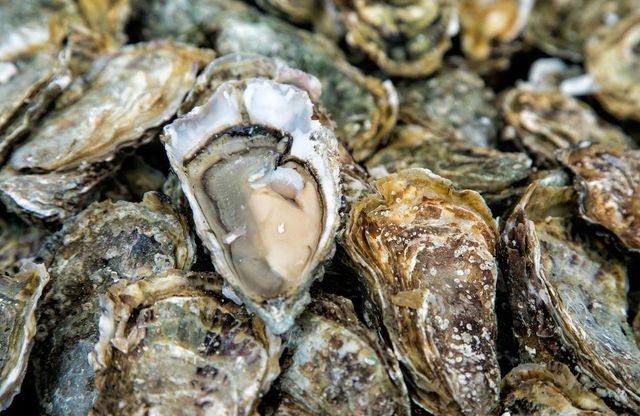 Les huîtres font partie des coquillages en provenance du bassin d'Arcachon temporairement interdits depuis le 27 décembre 2023.